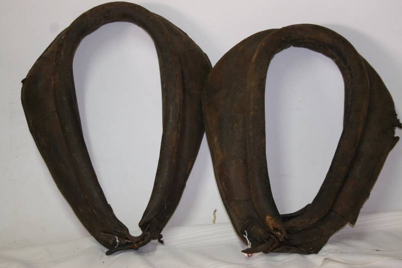 Horse Tack