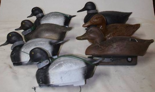 Decoy Ducks