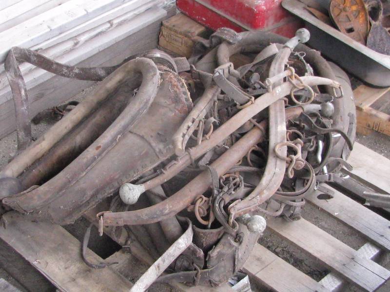lot 15 image: Misc Collars & Hames