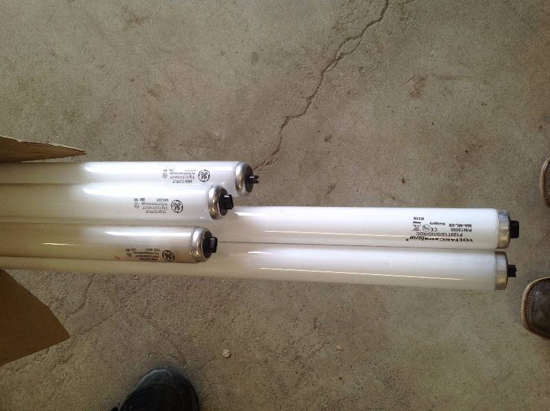 lot 59 image: 5 GE light bulbs