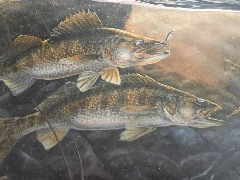 Walleyes on the Rocks by Terry Doughty