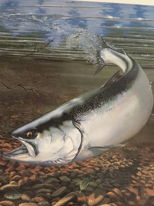 Russian River Red Print by Bruce W. Nelson