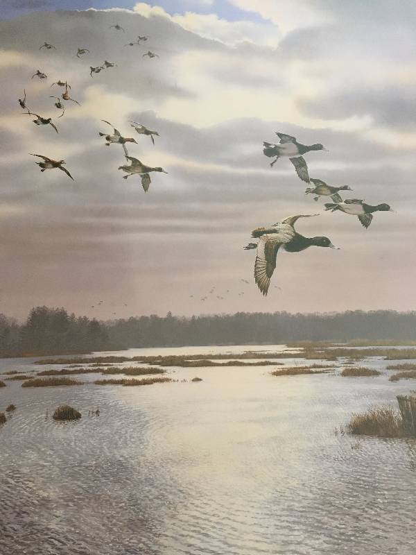 Rippin the Dawn by Scot Storm 2001 Minnesota Ducks Unlimited Sponsor Print