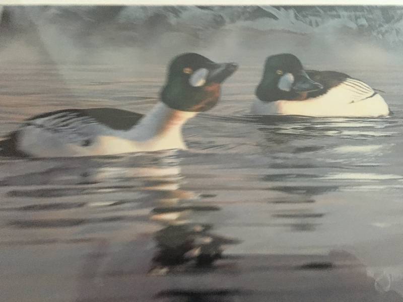 2009 Minnesota Migratory Waterfowl Stamp Print