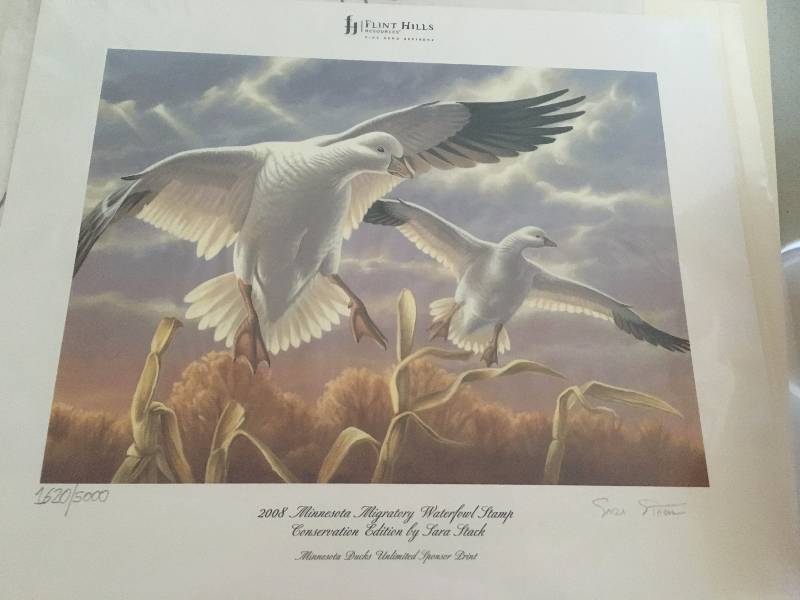 2008 Minnesota Migratory Waterfowl Stamp Conservation Edition by Sara Stack Print