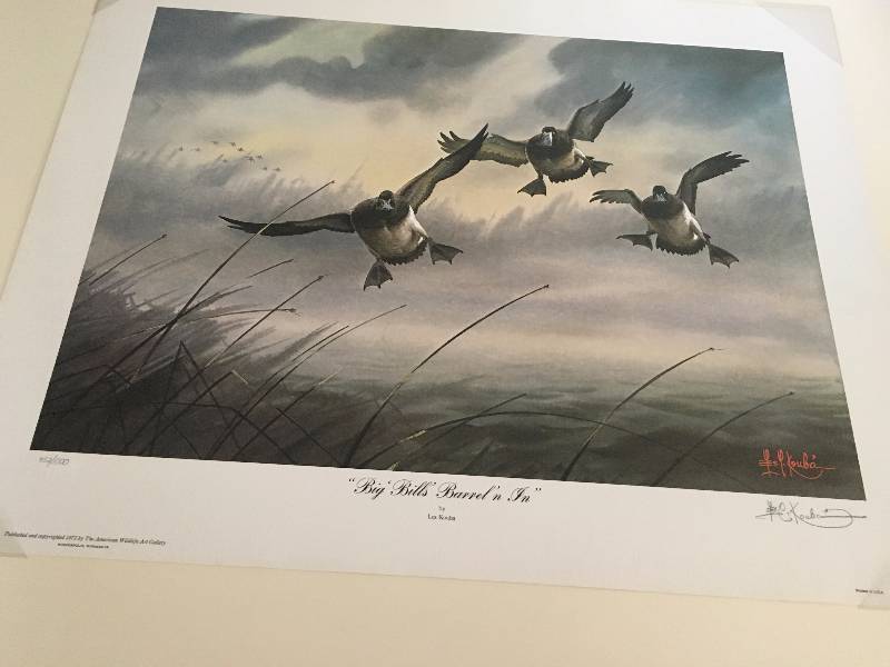 Big Bills Barreln In by Les Kouba The American Wildlife Gallery Signed Print