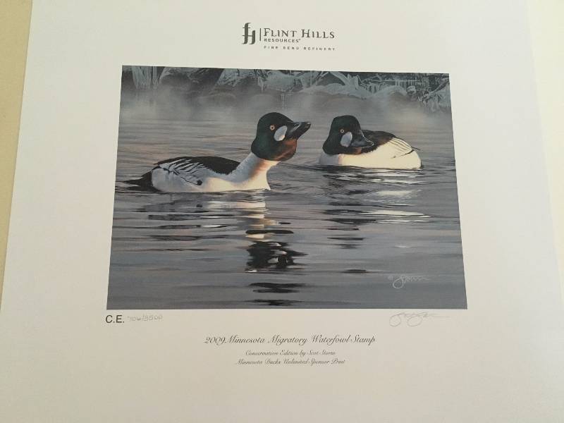 2009 Minnesota Migratory Waterfowl Stamp Print 7053500 Scot Storm