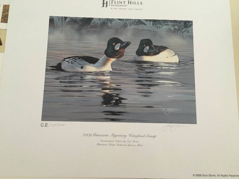 2009 Minnesota Migratory Waterfowl Stamp Print 7063500 Scot Storm