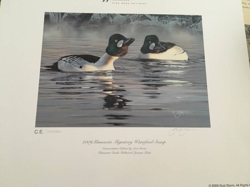 2009 Minnesota Migratory Waterfowl Stamp Print 7043500 Scot Storm