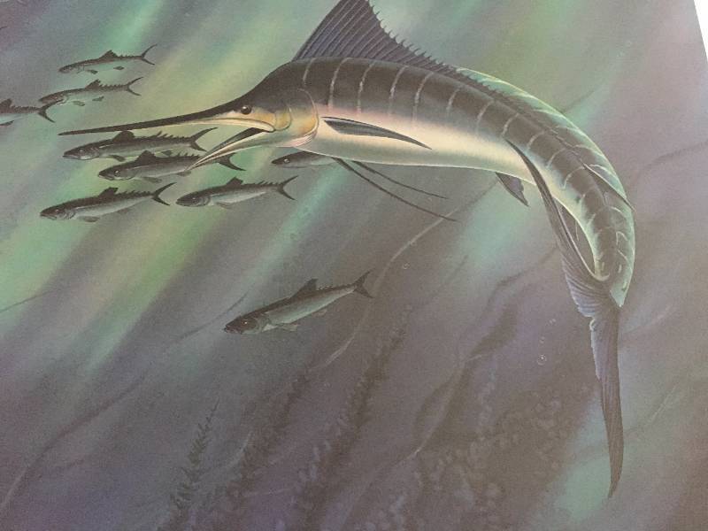 Blue Marlin on the Prowl by Les Kouba Print