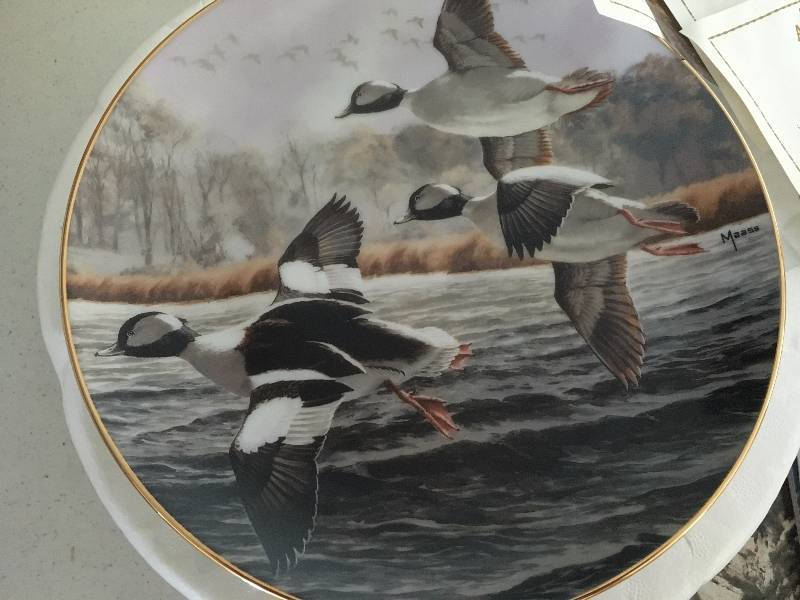 Settling In, Autumn Flight, Late Comers, Abrupt Departure Plates by David A. Maass
