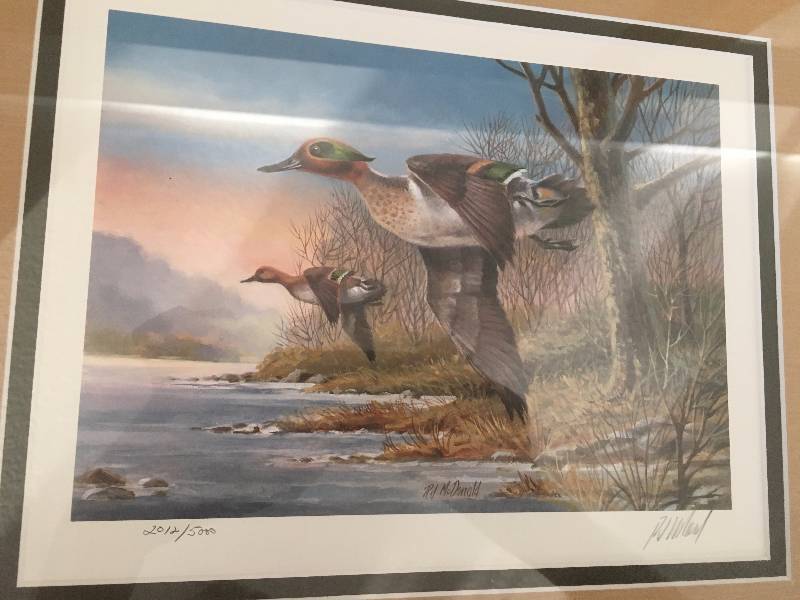 Framed Duck print by RJ McDonald 20125000 Signed