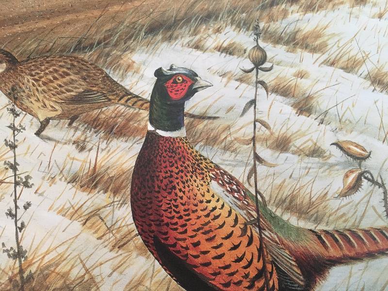 1996 Pheasants Forever Sponsor Miller Brewing, by Les C. Kouba Artist Proof
