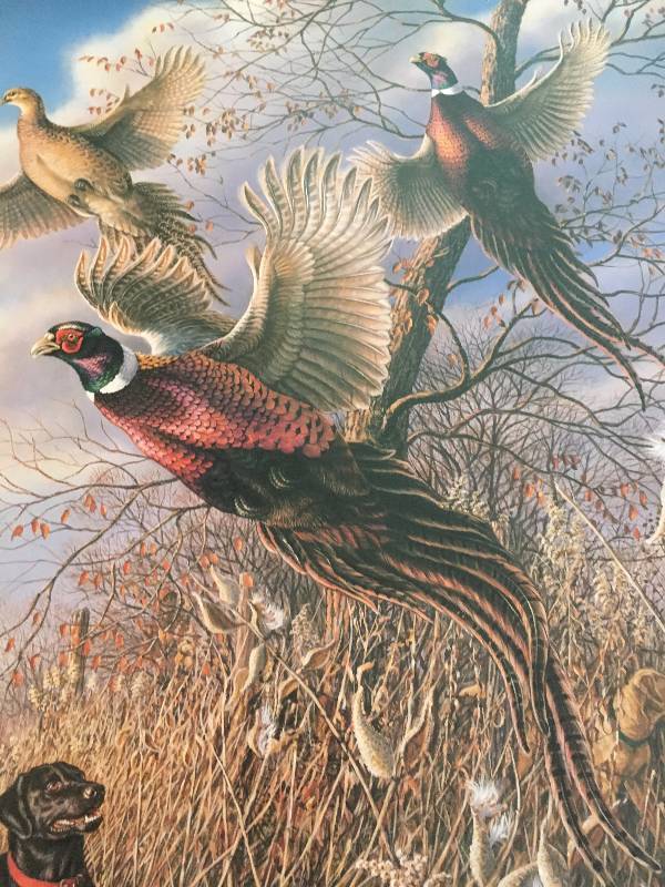 The Wild Side Print Black Jack Ring Necked Pheasants 1997 by James A. Meger