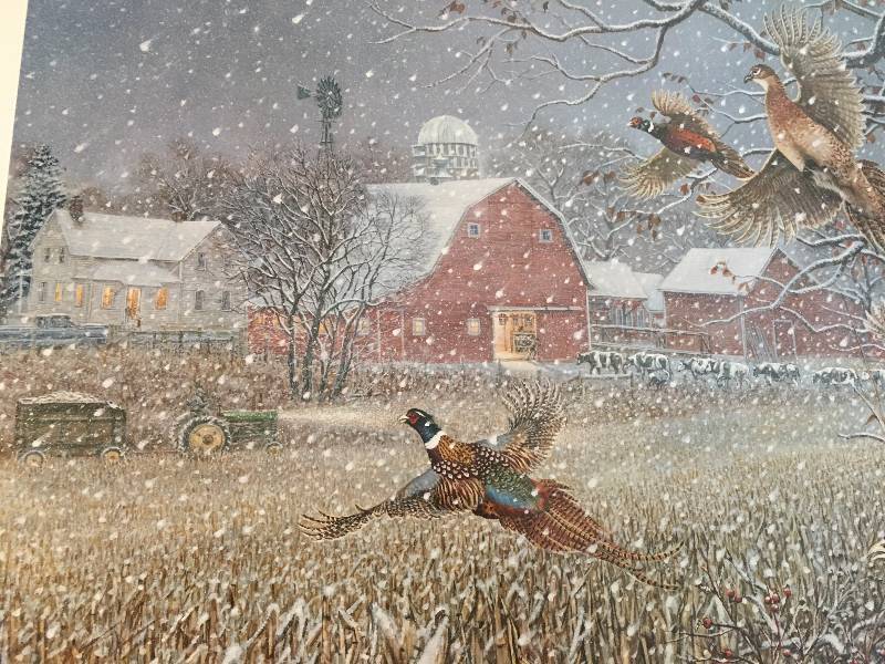 The Wild Side Print "The Storm" Ringnecked Pheasants By James A. Meger ...