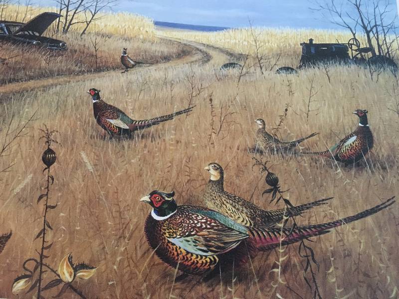 Pheasants Forever Print Artist Prof by Les Kouba, Miller Beer
