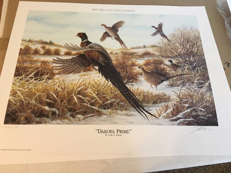 1993 Print Pheasants Forever Painting Dakota Prime by John G. Moisan