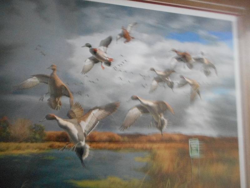 Fruits of Your Labor Mallards of Pintails Ducks Unlimited Framed Print