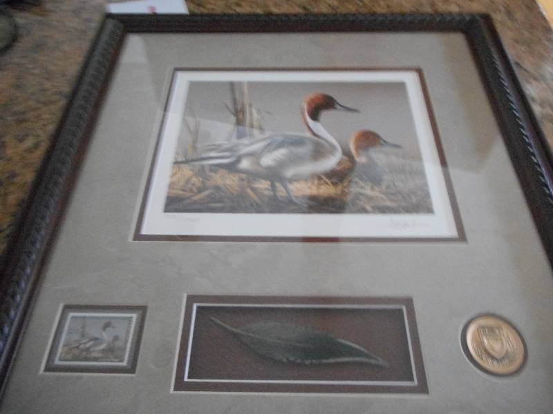 2008 2009 Federal Duck Stamp Framed Print Prints Chisago City