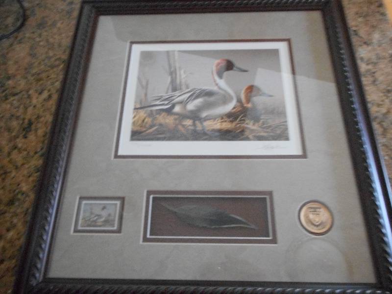 2008-2009 Federal Duck Stamp Framed Print