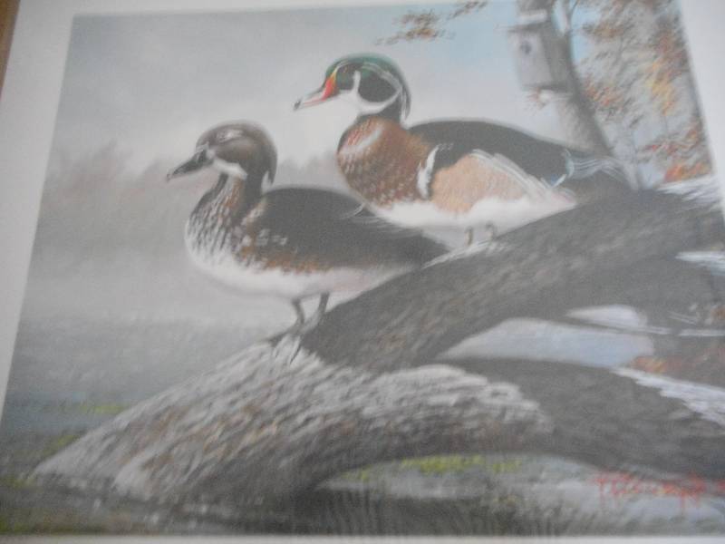 Woodland Woodies by Randall J. Raduenz Print