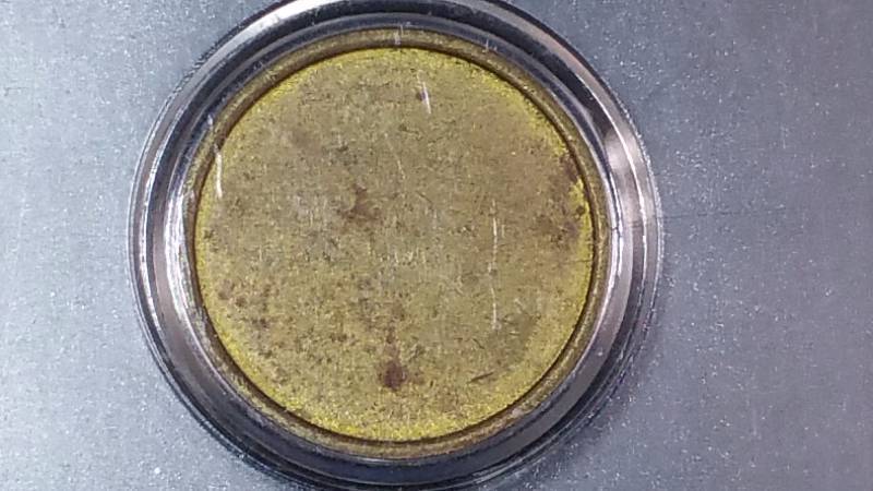Indian Head Blank Planchet