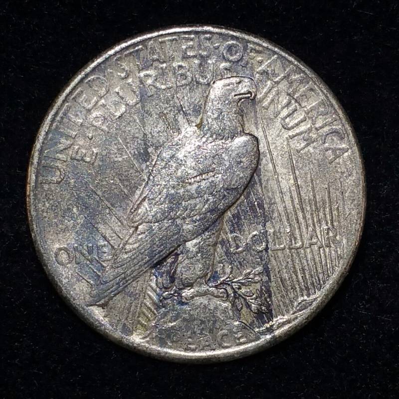 1925 P Peace Silver Dollar