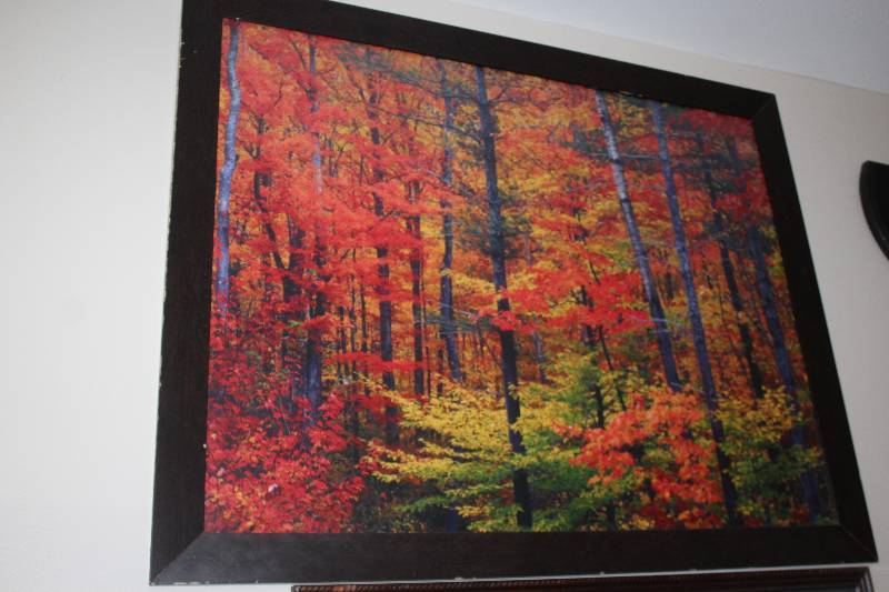 lot 117 image: Forest in Fall Framed Wall Art