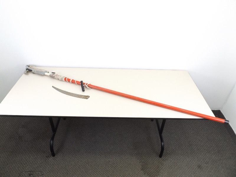 lot 41 image: Telescoping Pole Tree Saw