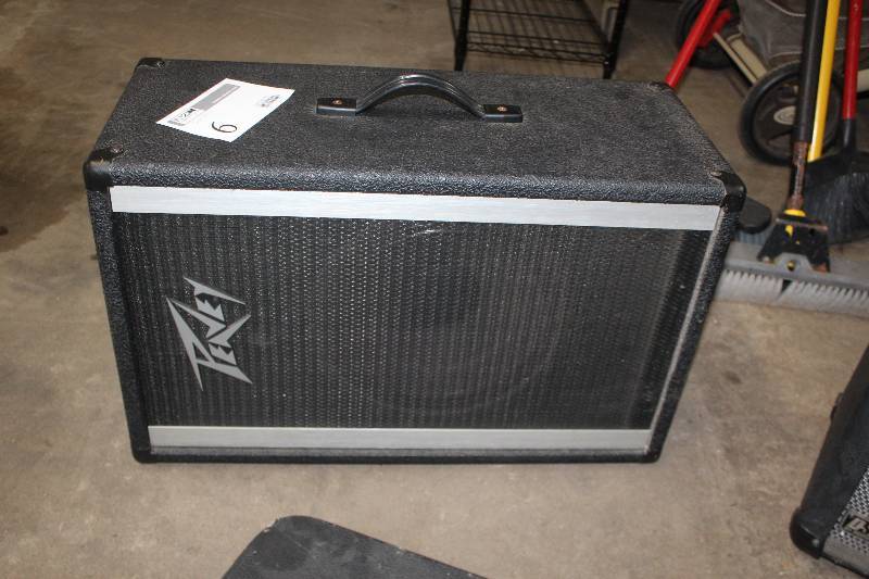 lot 6 image: Peavey PA Enclosure