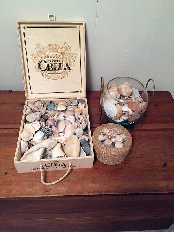 lot 47 image: Shell Lot