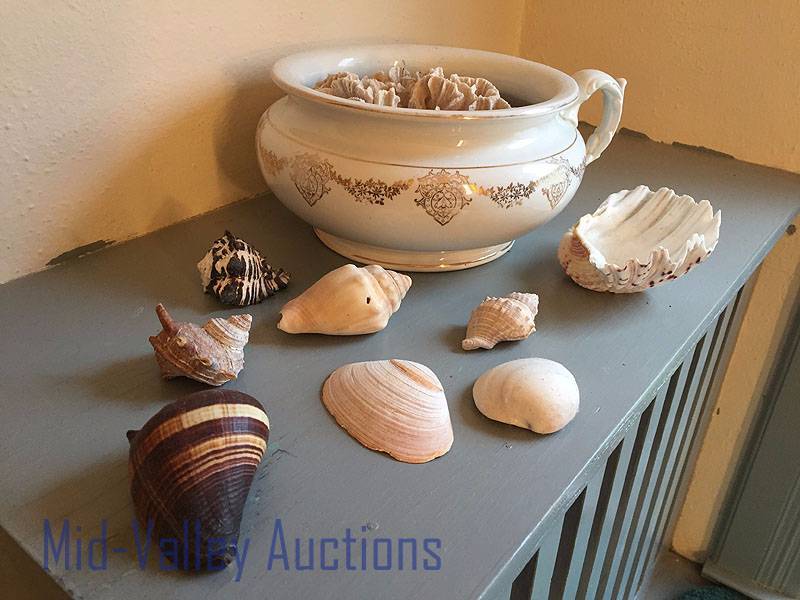 Sea shells and Pot