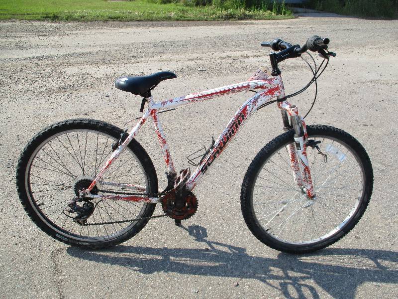 Schwinn Bicycle