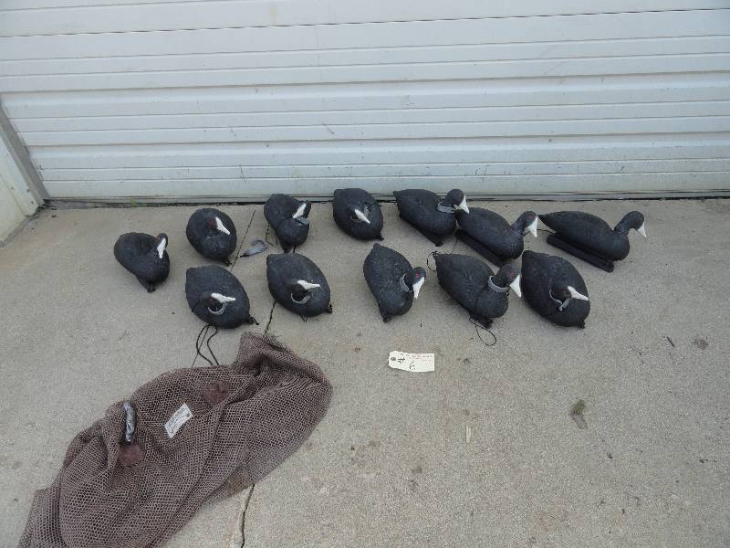 Coot & G & H Decoys