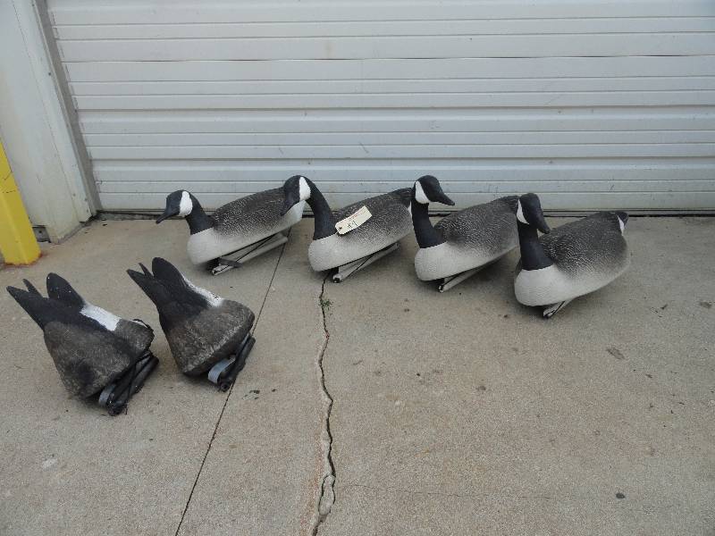 Goose Decoys & Big Foot Decoy