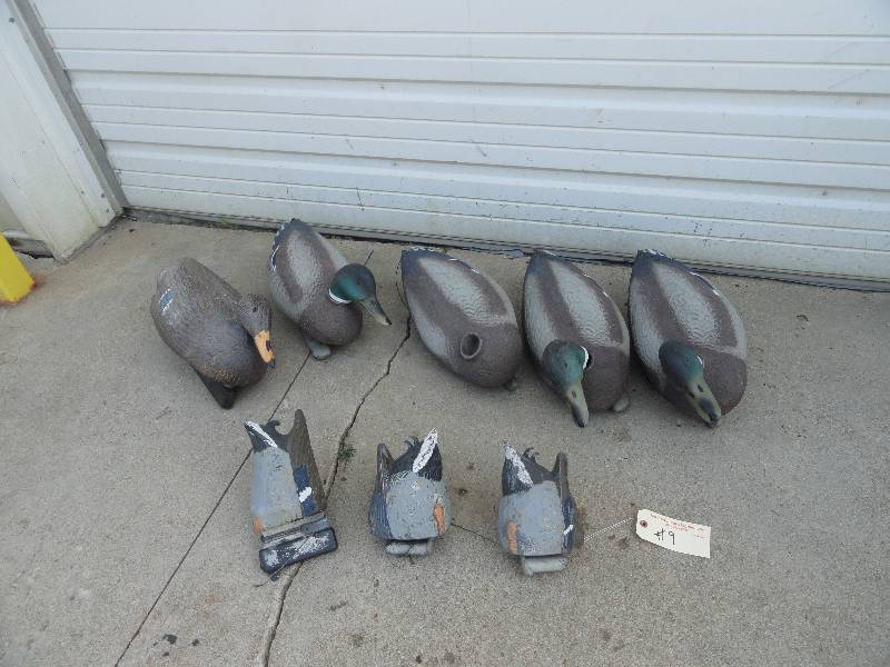 Mallard Decoys With Bag & G & H Decoys