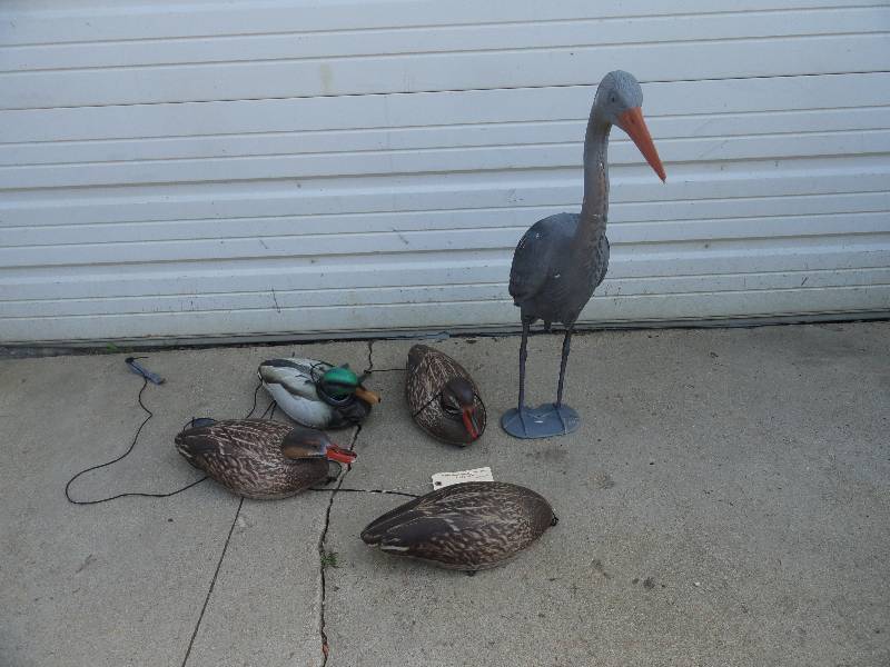 Lot of Decoys