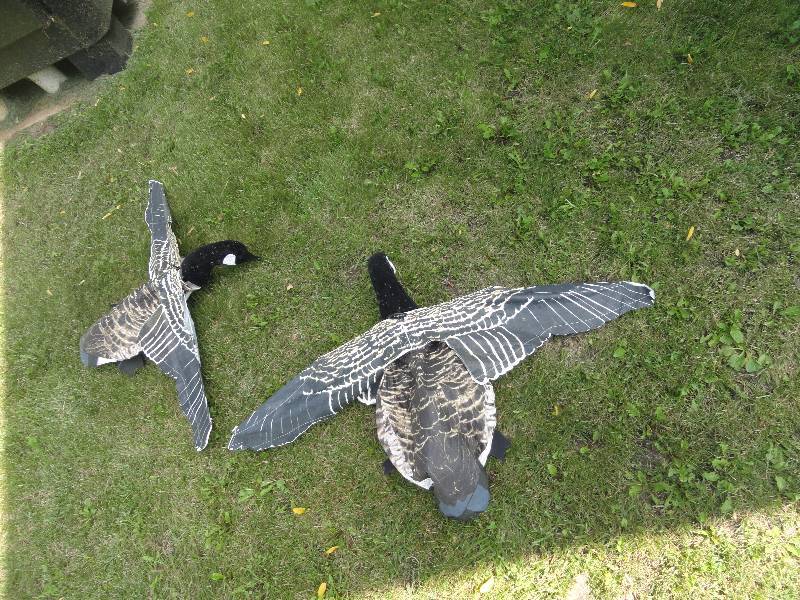 Wind Sock Goose Decoys