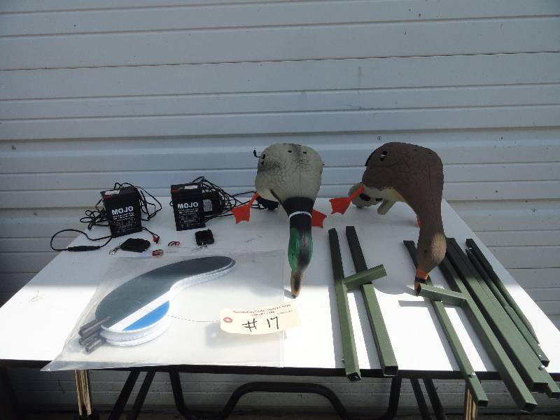 Remote Control Mojo Ducks