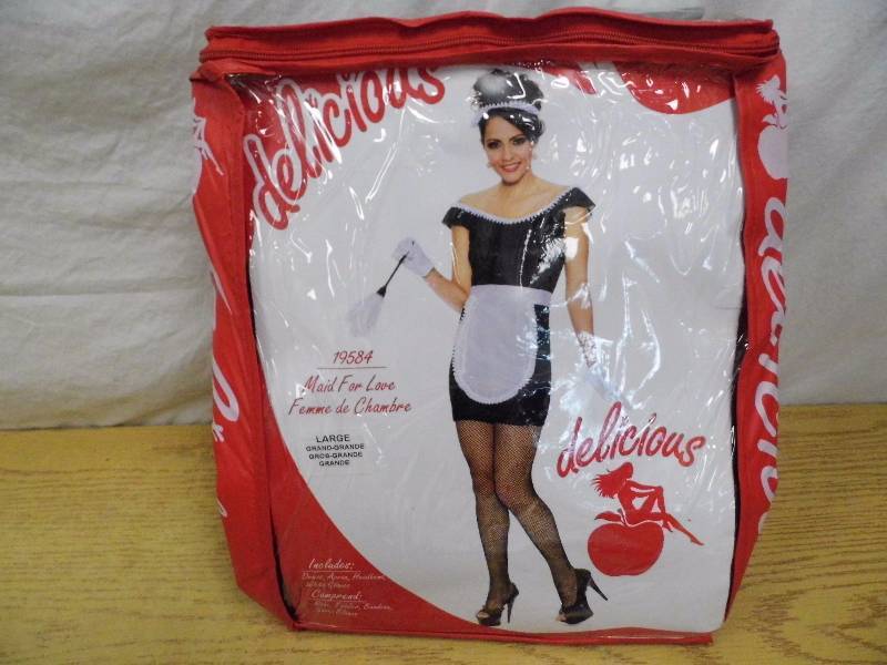 Maid for Love Halloween Costume