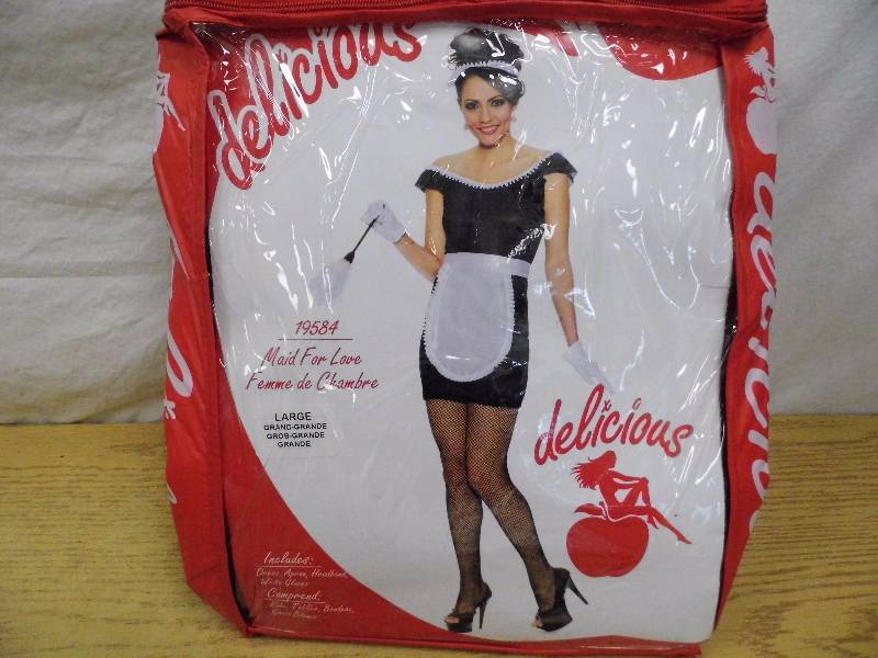 Maid for Love Halloween Costume