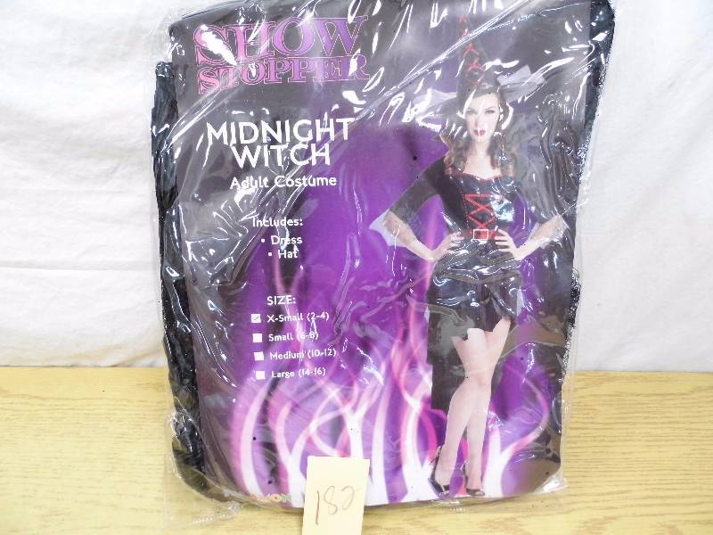 Midnight Witch Halloween Costume