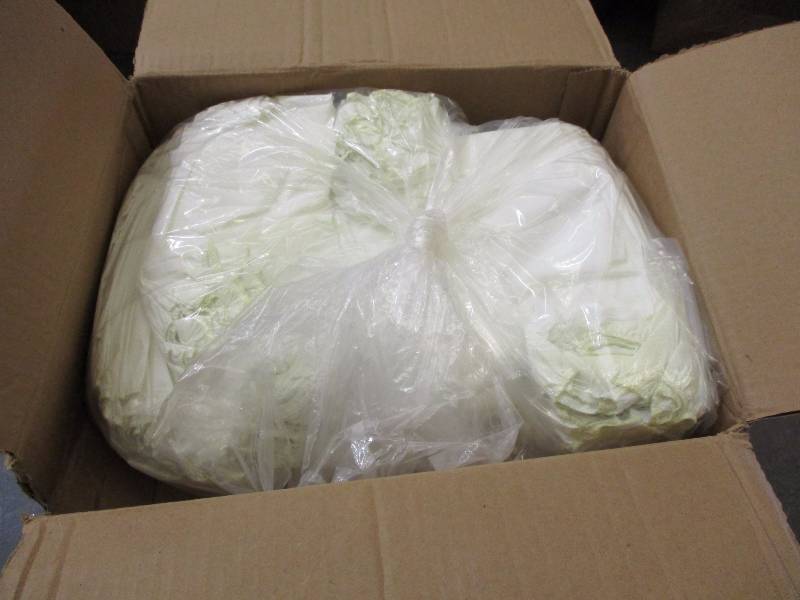 Tyvek Sleeves