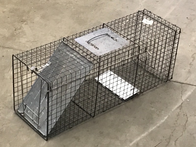 Animal Live Trap