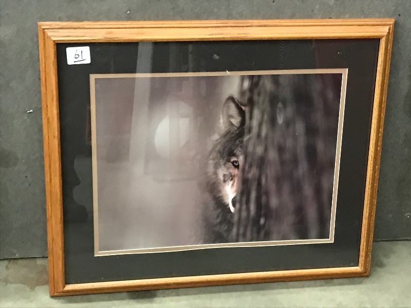 Timberwolf Print