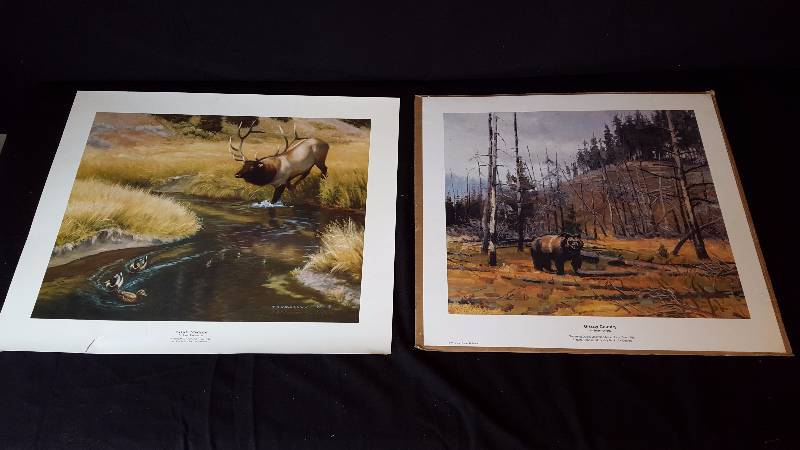 lot 118 image: Unframed Wildlife Art