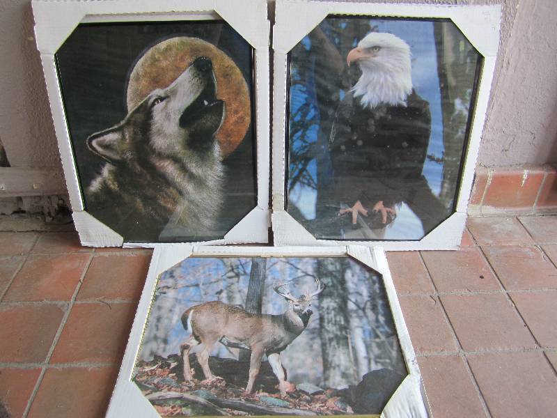 lot 199 image: Lot of 3 Wild Life Framed Posters W...