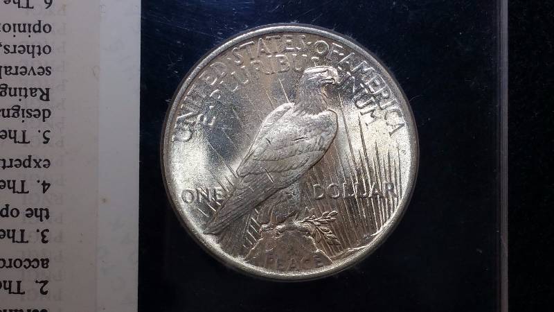 1924-P Peace Silver Dollar MS65