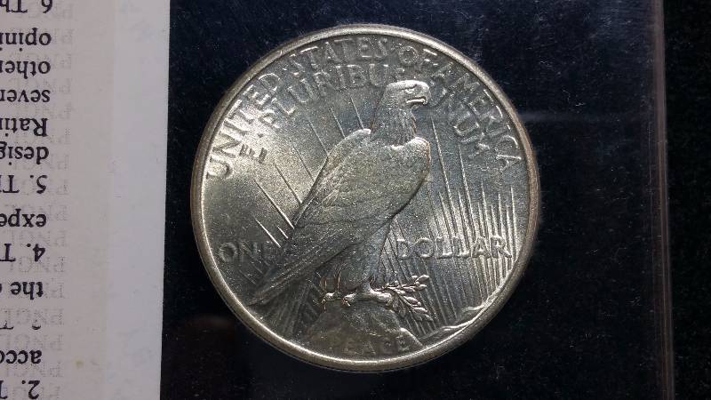 1925-P Peace Silver Dollar MS65