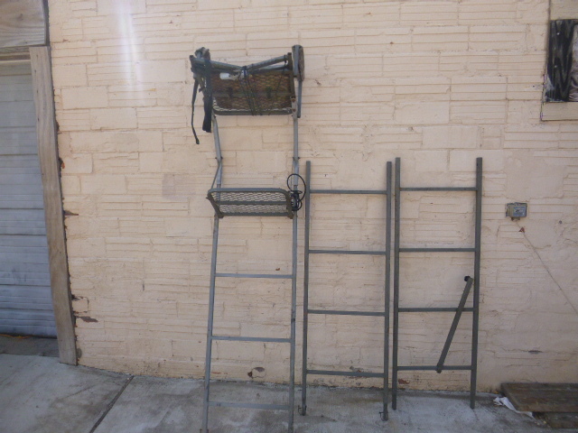 lot 14 image: Tree Stand